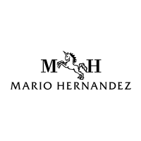 mario-hernandez-logo mario-hernandez-logo